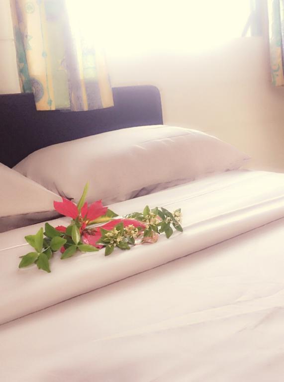 Green Lodge Holiday Homes นูคูอาโลฟา ภายนอก รูปภาพ